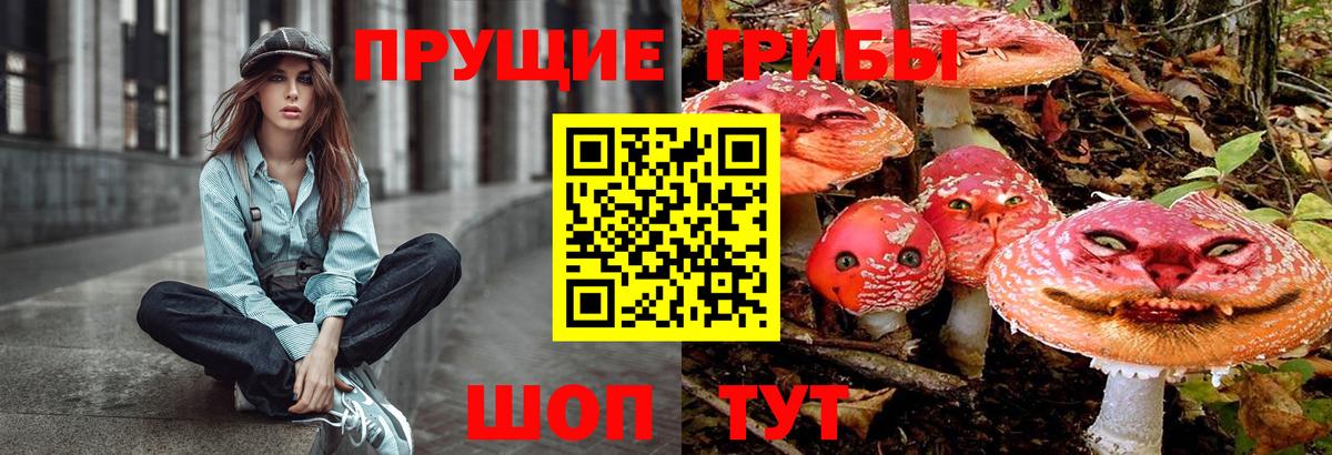 Псилоцибиновые грибы GOLDEN TEACHER  даркнет сайт  Клин  Вход с VPN  Галлюциногенные грибы Psilocybe 