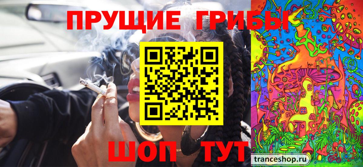 Галлюциногенные грибы Psilocybine cubensis Клин